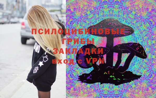 прущий лед Арсеньев